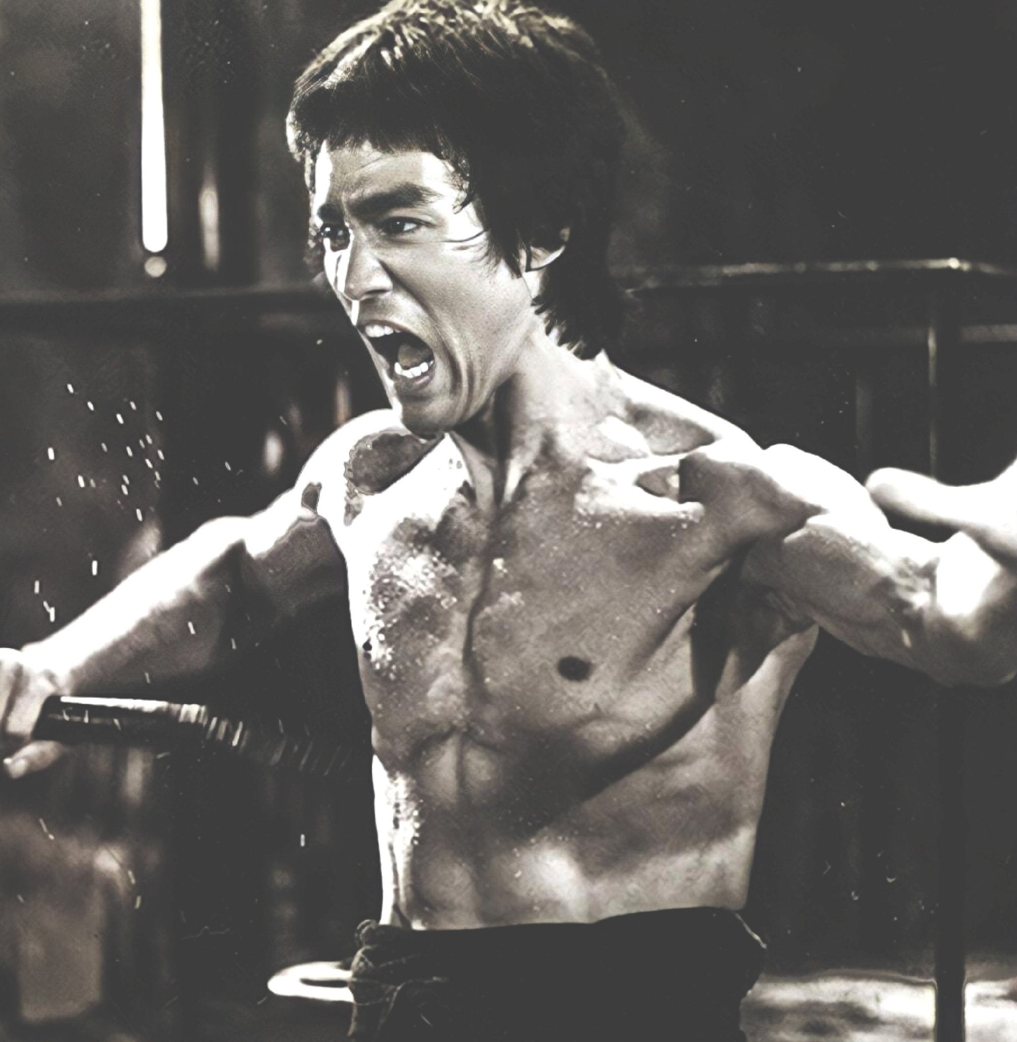 MARTIAL ARTS - Roots of Fight Canada