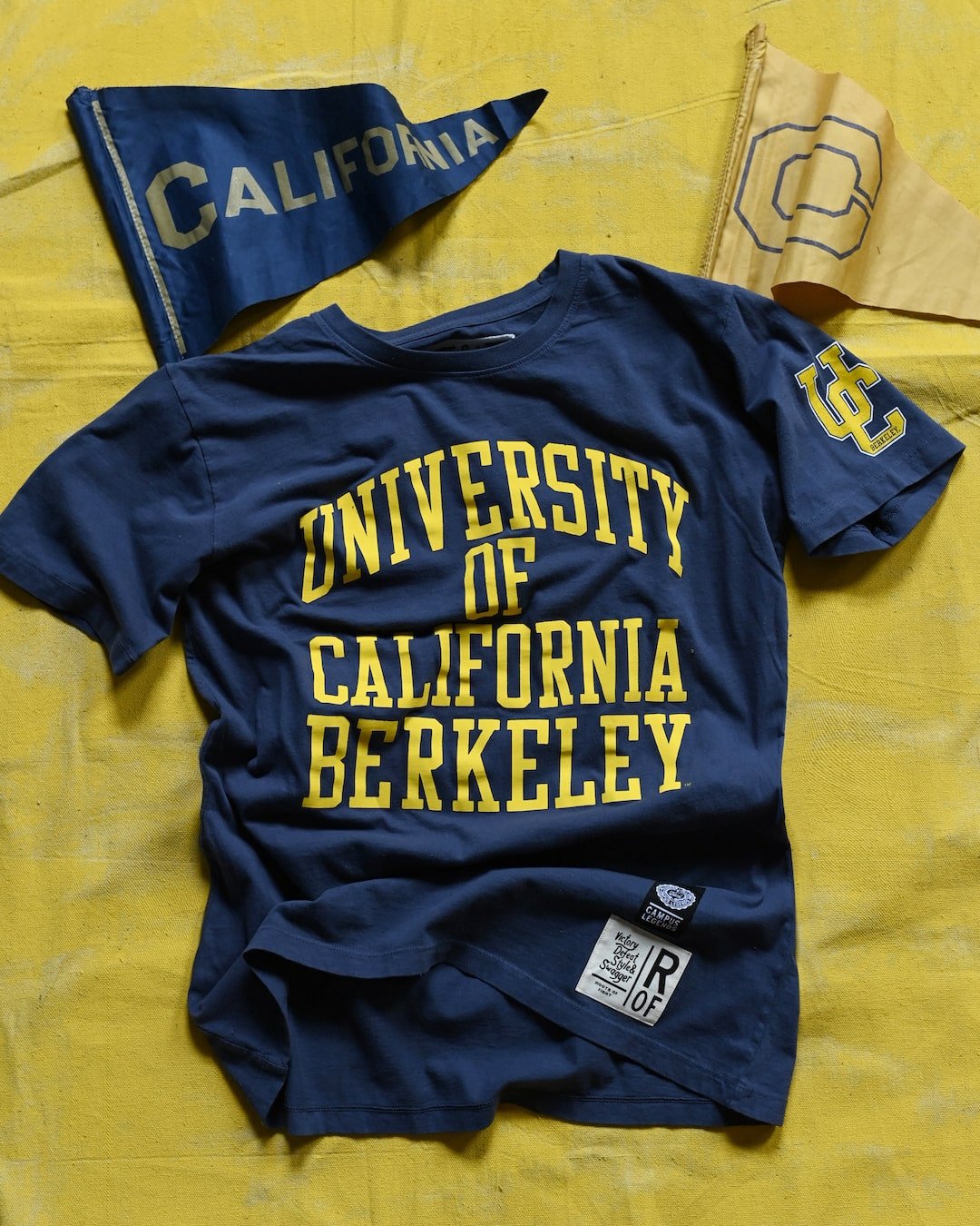 CAL - Cal Berkeley Navy Tee - Roots of Fight Canada